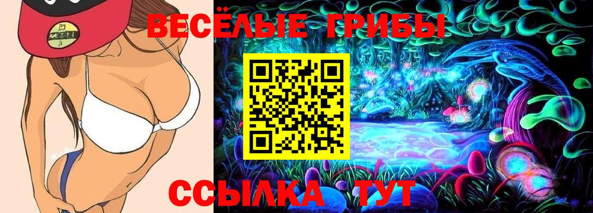 Мичуринск  Псилоцибиновые грибы Psilocybe  Вход с VPN 